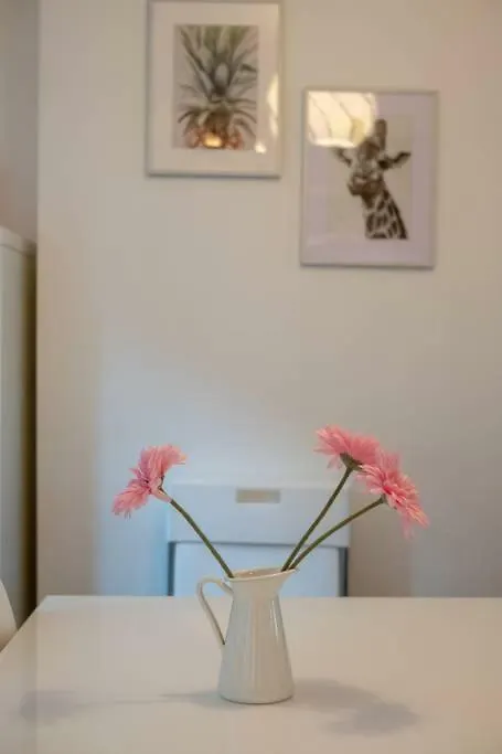 Galway City Cottage Apartment